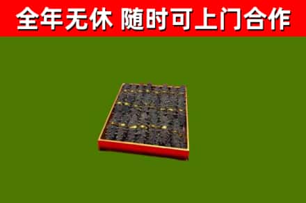 高邑回收海参